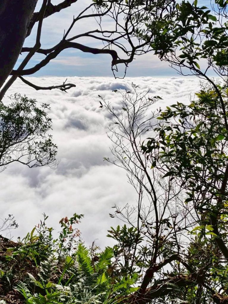 20251106北大武山步道☁️ 喜多麗雲海_2931339