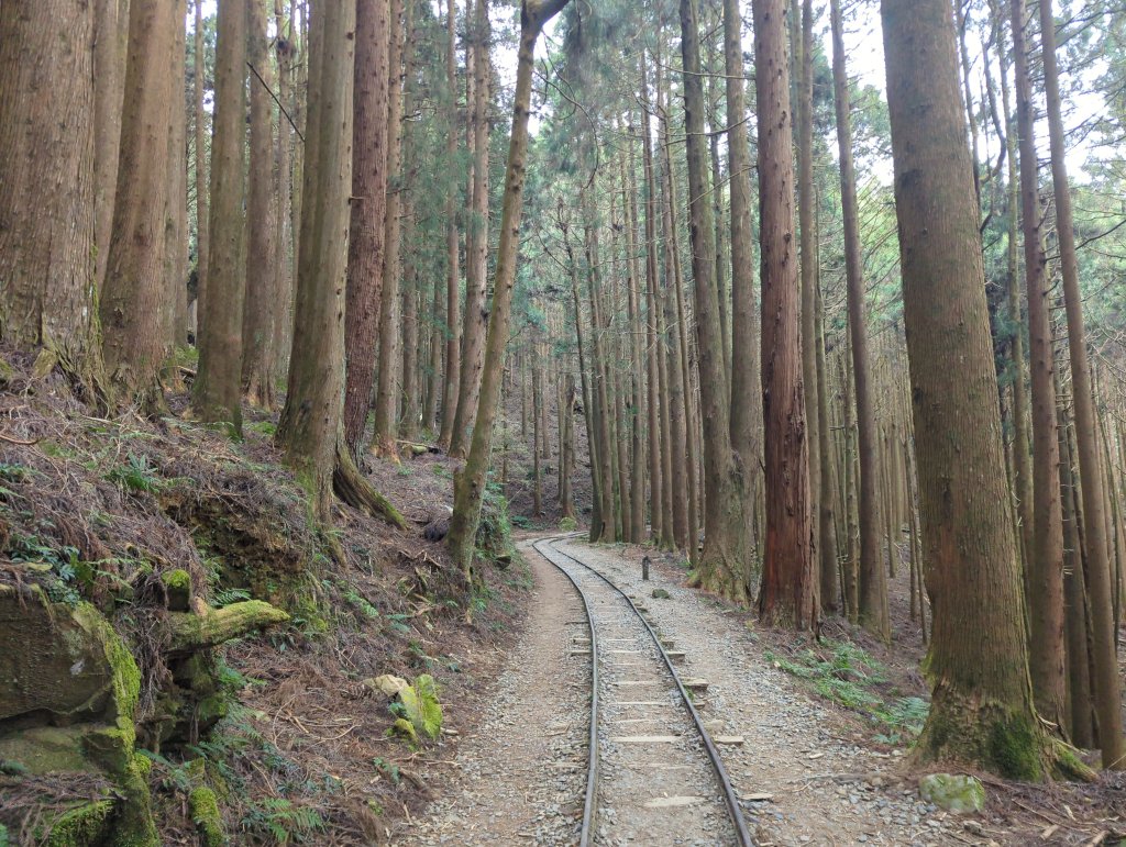 2026.02.14－特富野古道_3013707