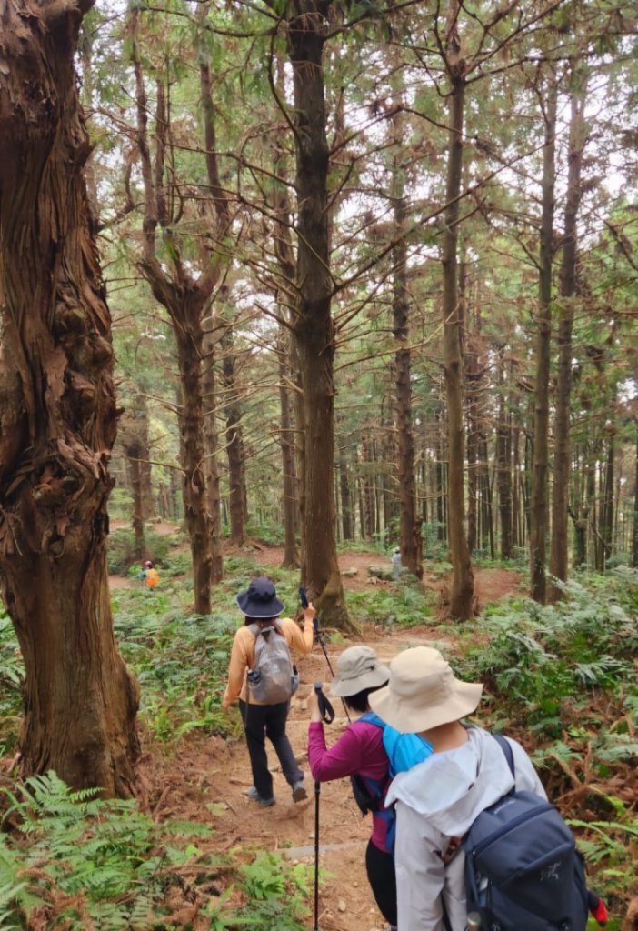 【中級山縱走】最美中級山，鳶嘴西稜縱走（鳶嘴山，醜崠山，長壽山）_2741365