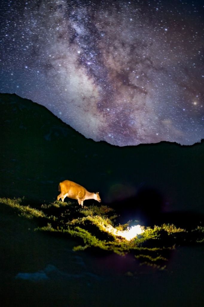 夜空中最亮的星，請照亮我前行_391286