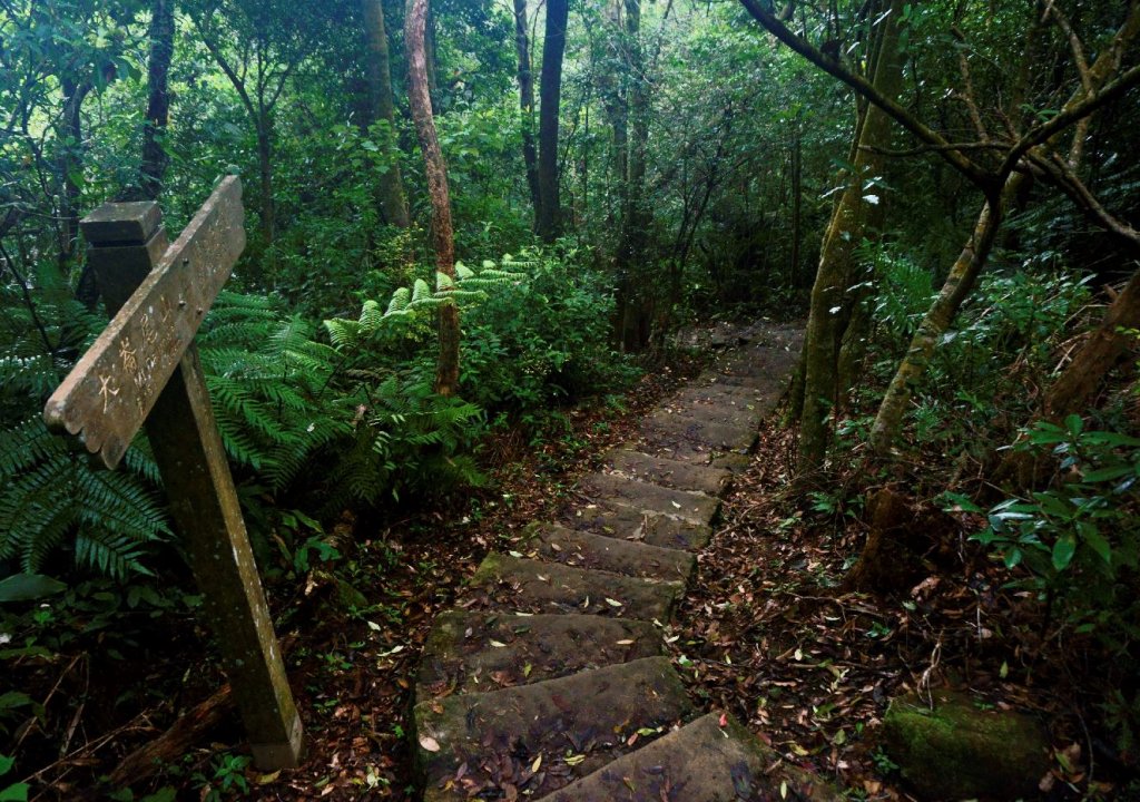 大崙頭尾山 O型_1328339