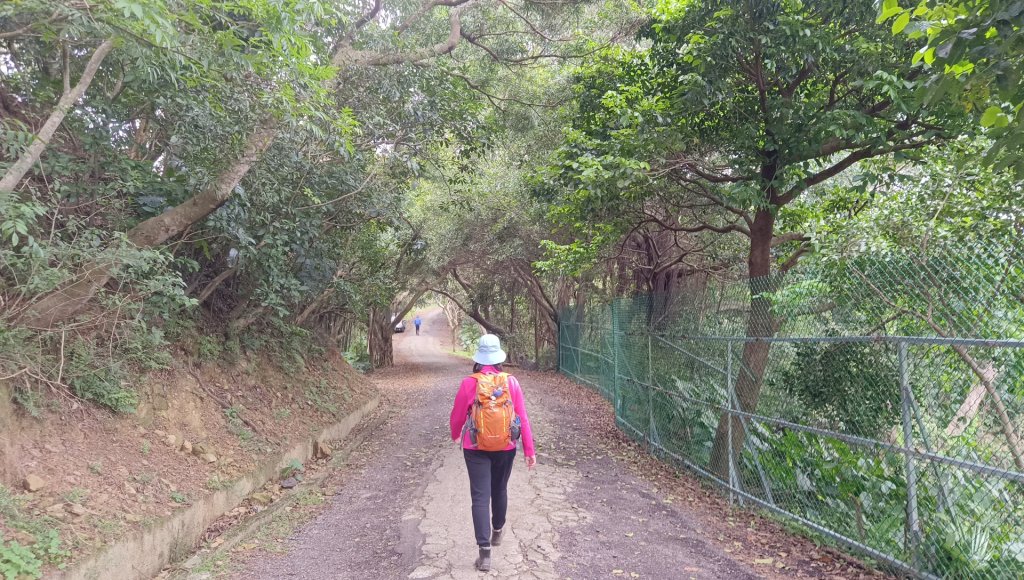 (姨婆趴趴走)第五十集:新北樹林大同山、青龍嶺、大棟山諸峰連走_2751525