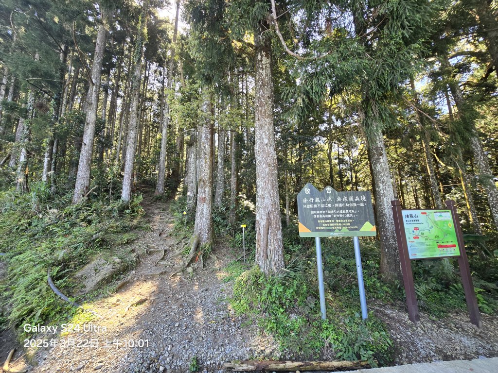 2025-03-22油羅山步道_2743392