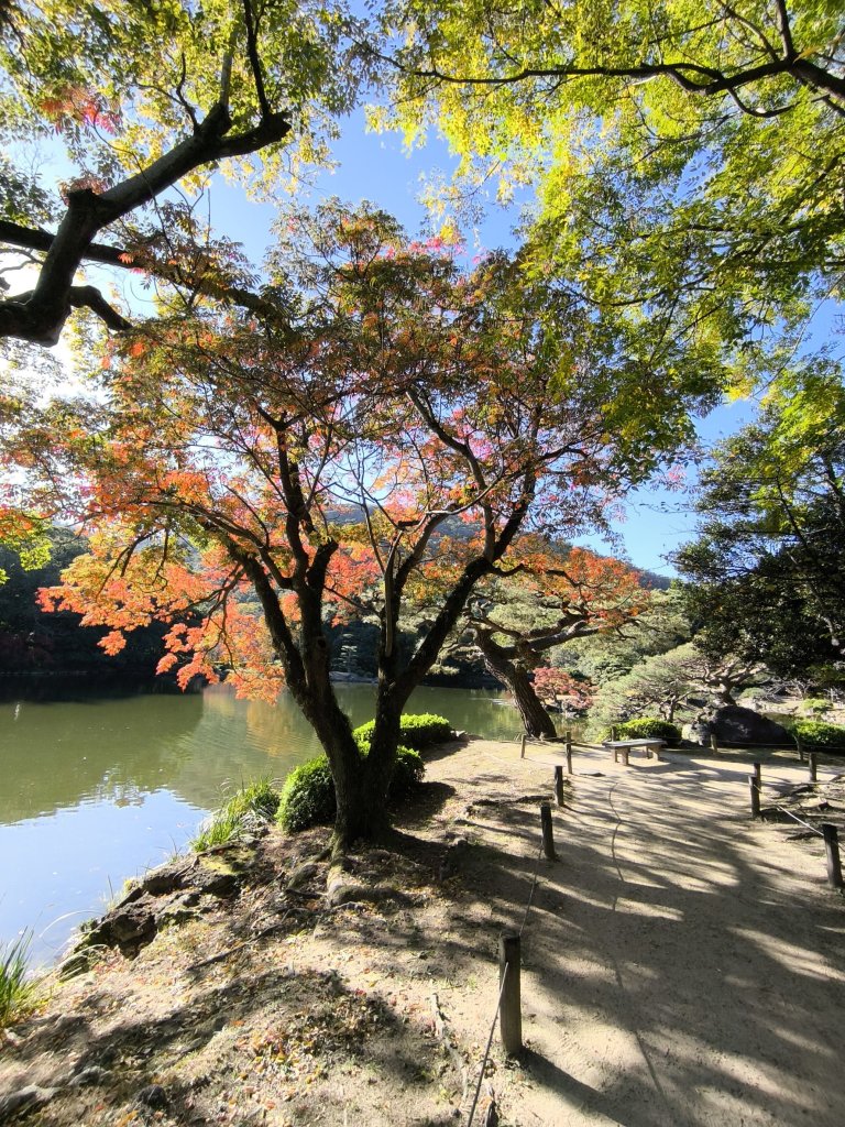【日本健行】岡山、彥根 (近江八幡、彥根城)、姬路(書寫山圓教寺、世界遺產姬路城、好古園)_2946528
