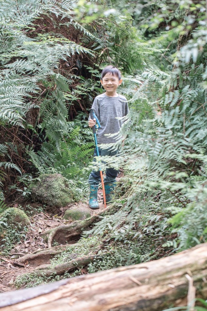 磺嘴山、翠翠谷｜漫步最美的火山口秘境_1850780