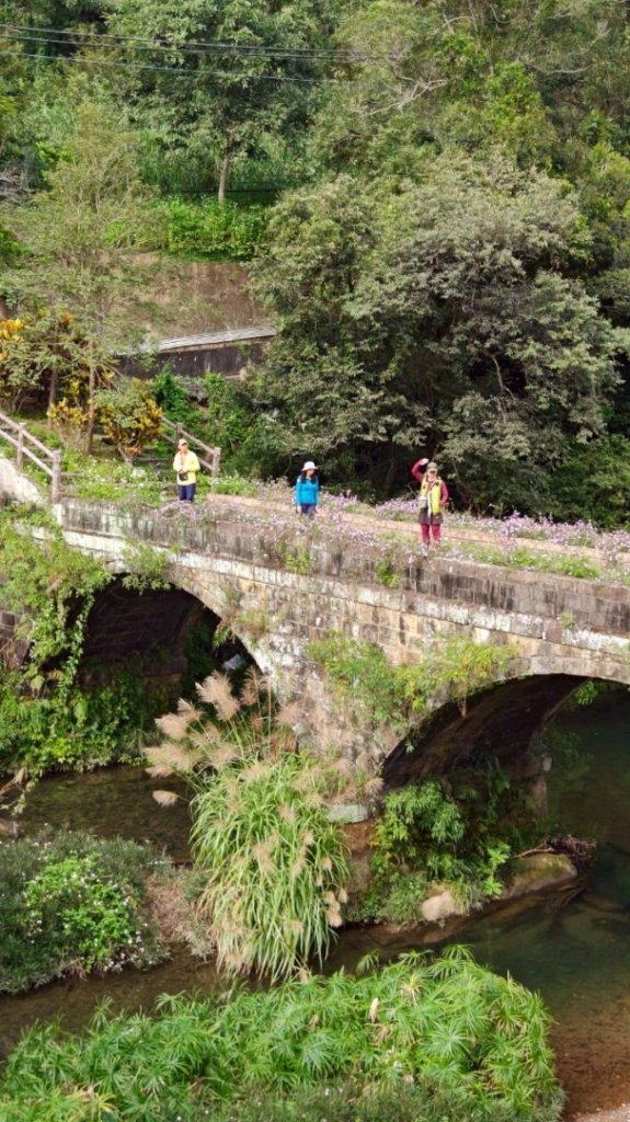桃園-高遶溪古圳-天空吊橋-高遶溪瀑布-優霞雲瀑布-庫志溪畔步道-東眼山_2942053