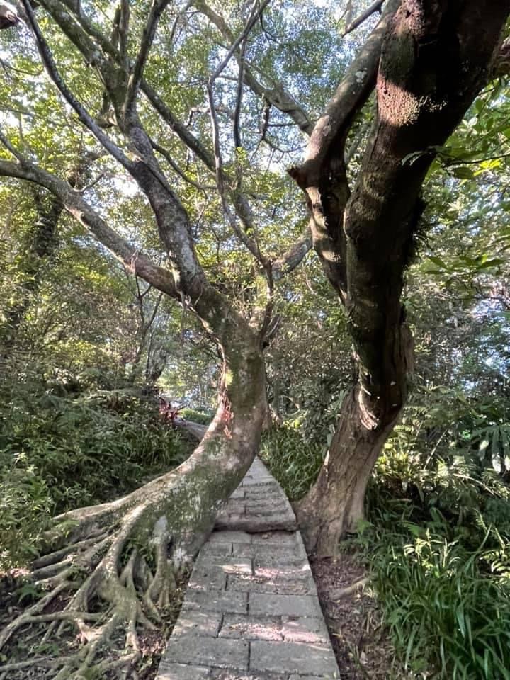 土城六秀_2612964