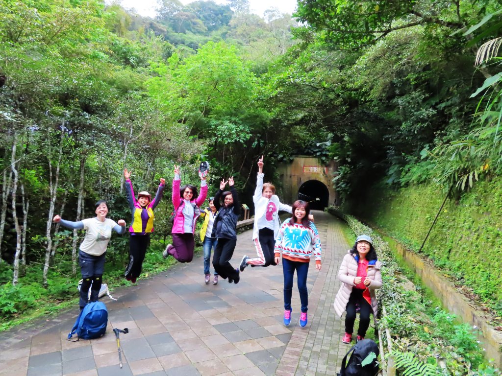 好療癒及老少咸宜的步道：百吉林蔭步道_551128