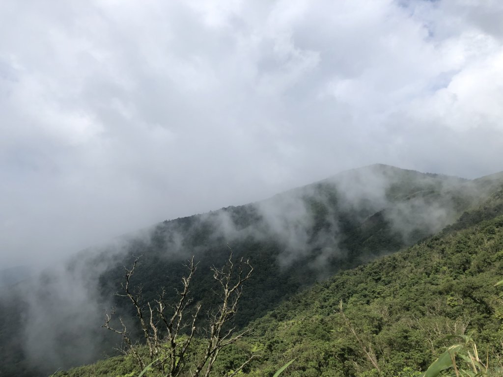 【宜蘭礁溪】抹茶山~超消暑聖母登山步道_640578