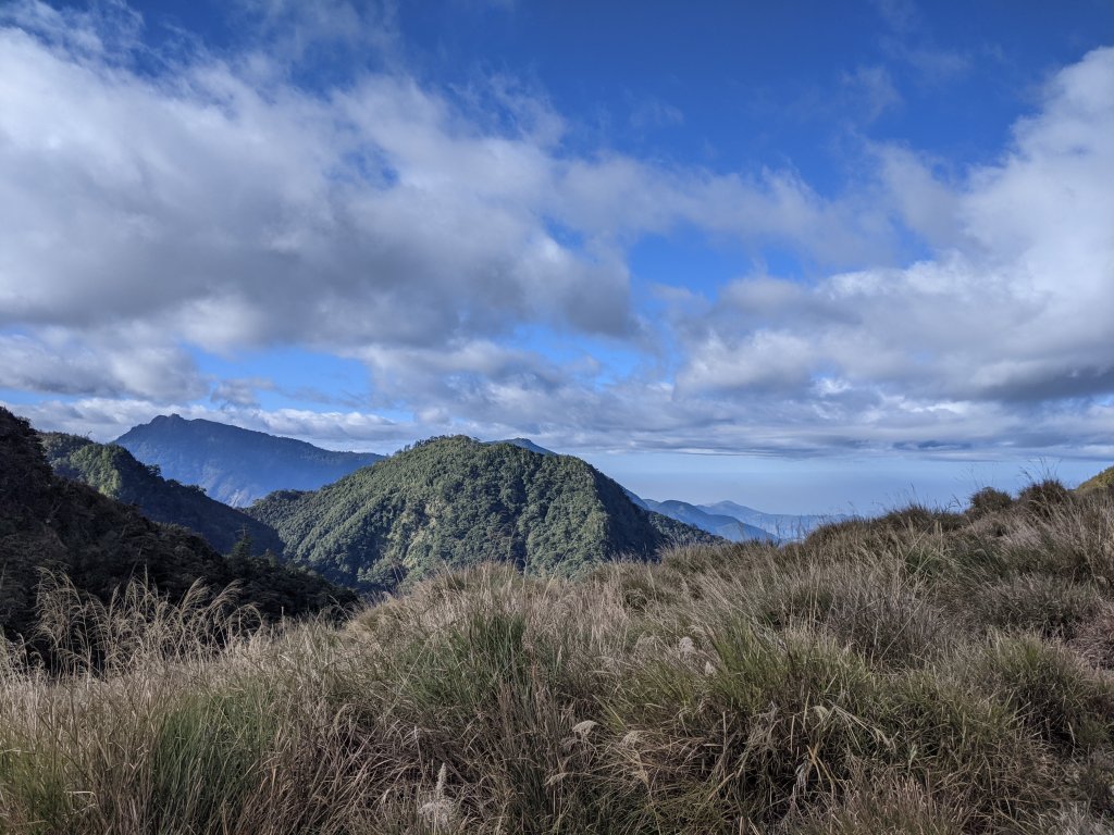 【高雄桃源】小關山林道上小關山_1275167