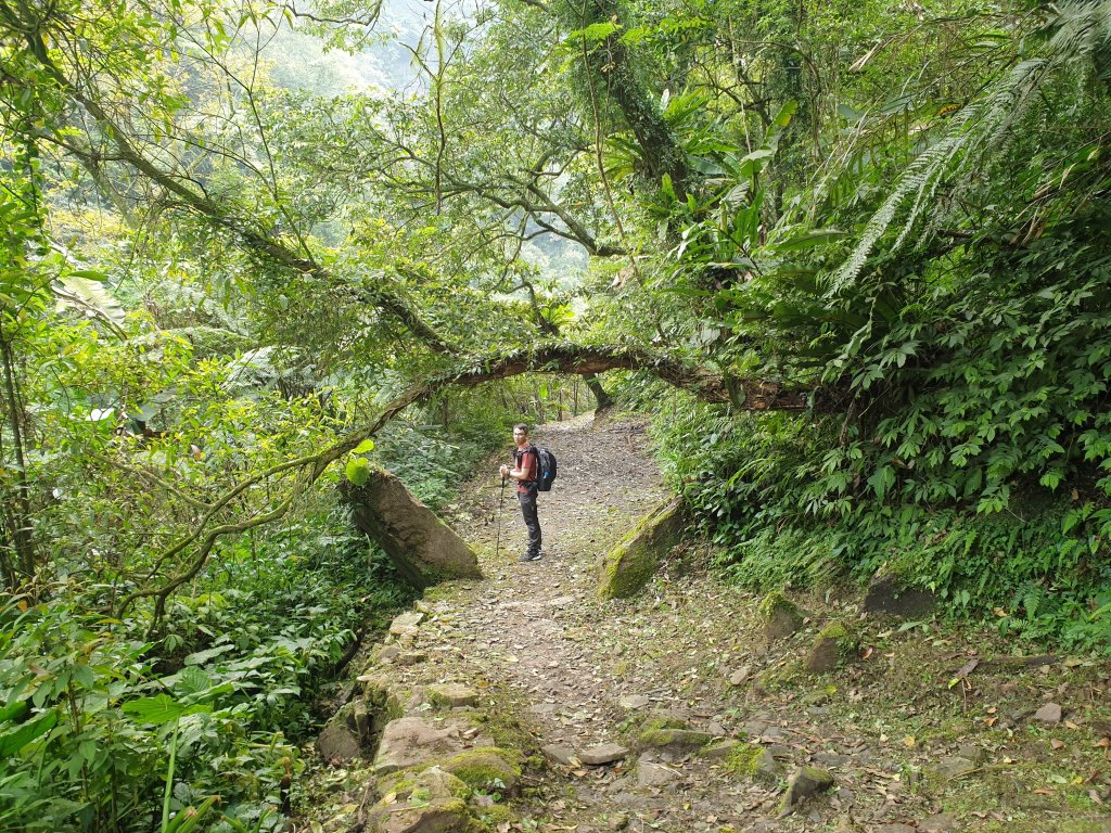 新北 淡蘭古道中路2/3 (柑腳－外澳車站)_1347890
