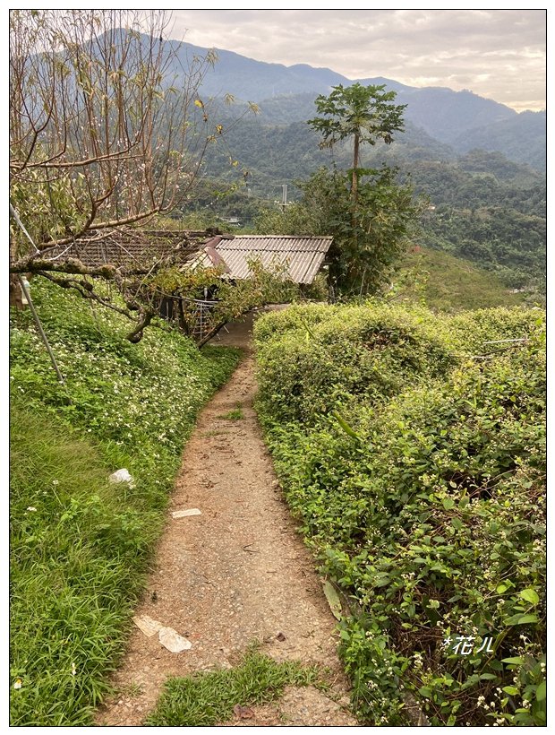 尾文坑山(台中、和平)_2653373