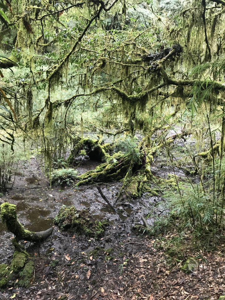 白姑大山之夜_1144137