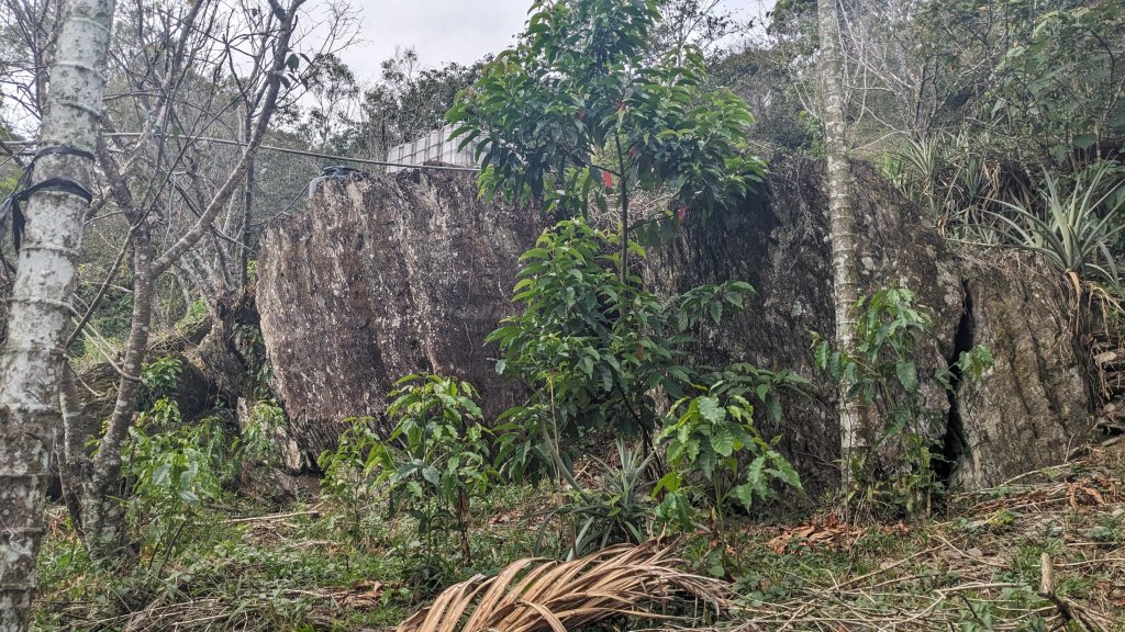 [屏步青雲] 屏東山旅行 德文山_2650749