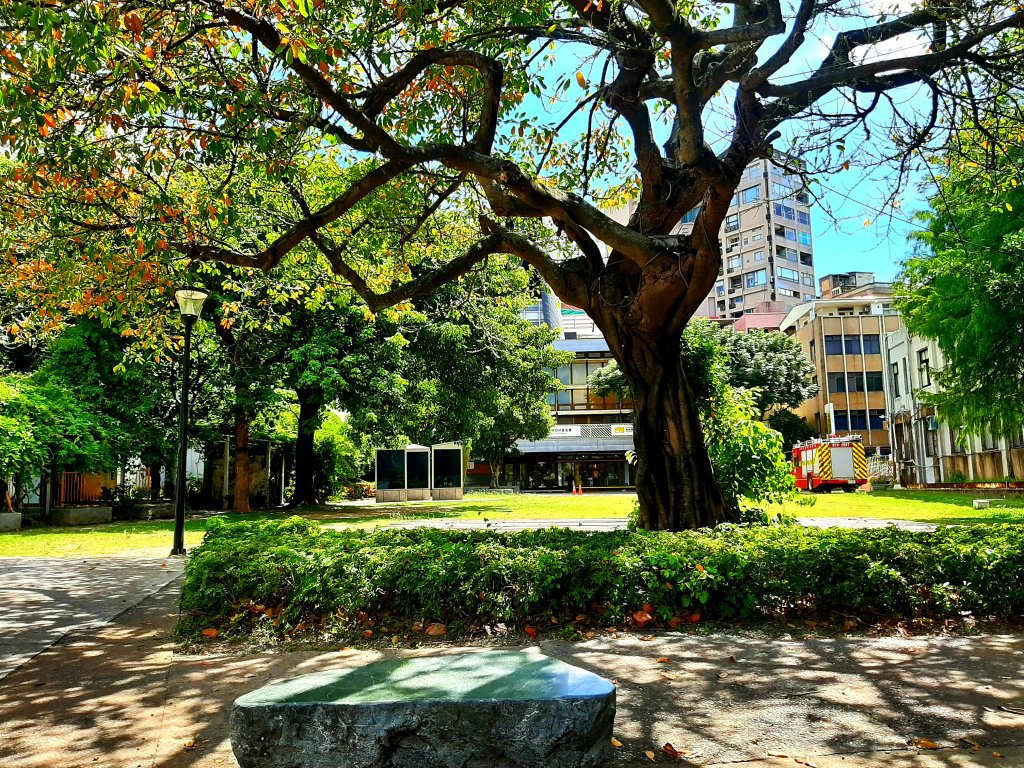 全臺齊步走｜碧潭、大安森林、大湖公園、淡水、花博、中正_2230359