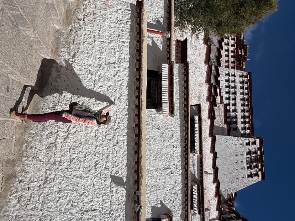 拉薩/布達拉宮-札達/古格王朝遺址皮央東嘎遺址-古寺廟_2898389