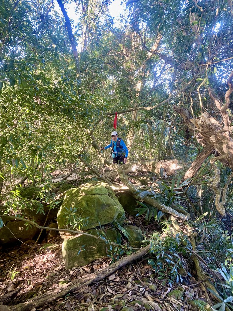 卓蘭基石巡禮（白布帆.象山.流壁下山.舊砲台.水寨下山.水寨山.大坪林.坑尾） 2022/12/21_1961949
