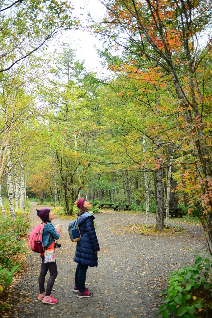 上高地河童橋_735630