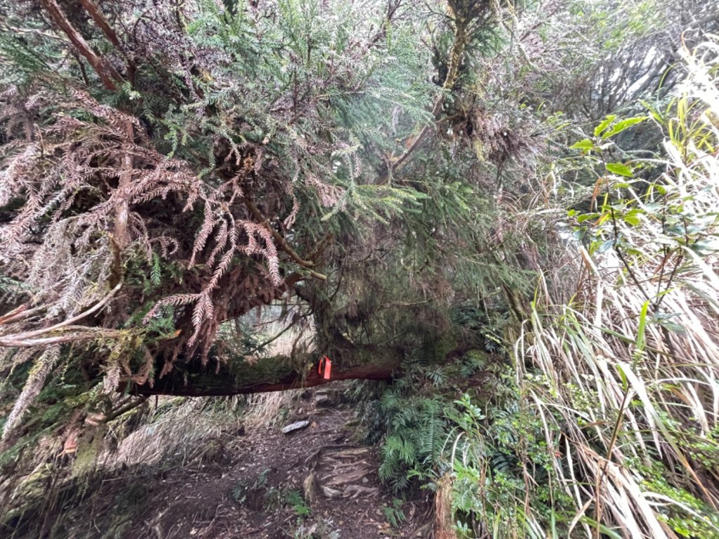 冰霰世界-三星山_2042553