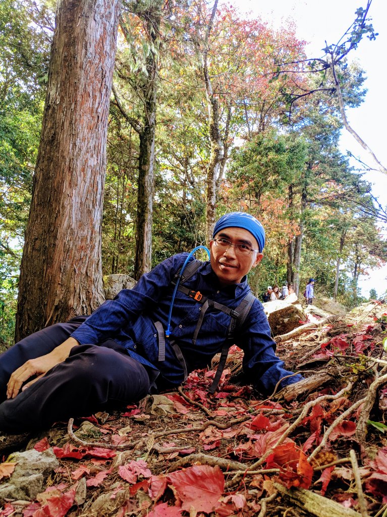 稍來山追紅葉_1198419