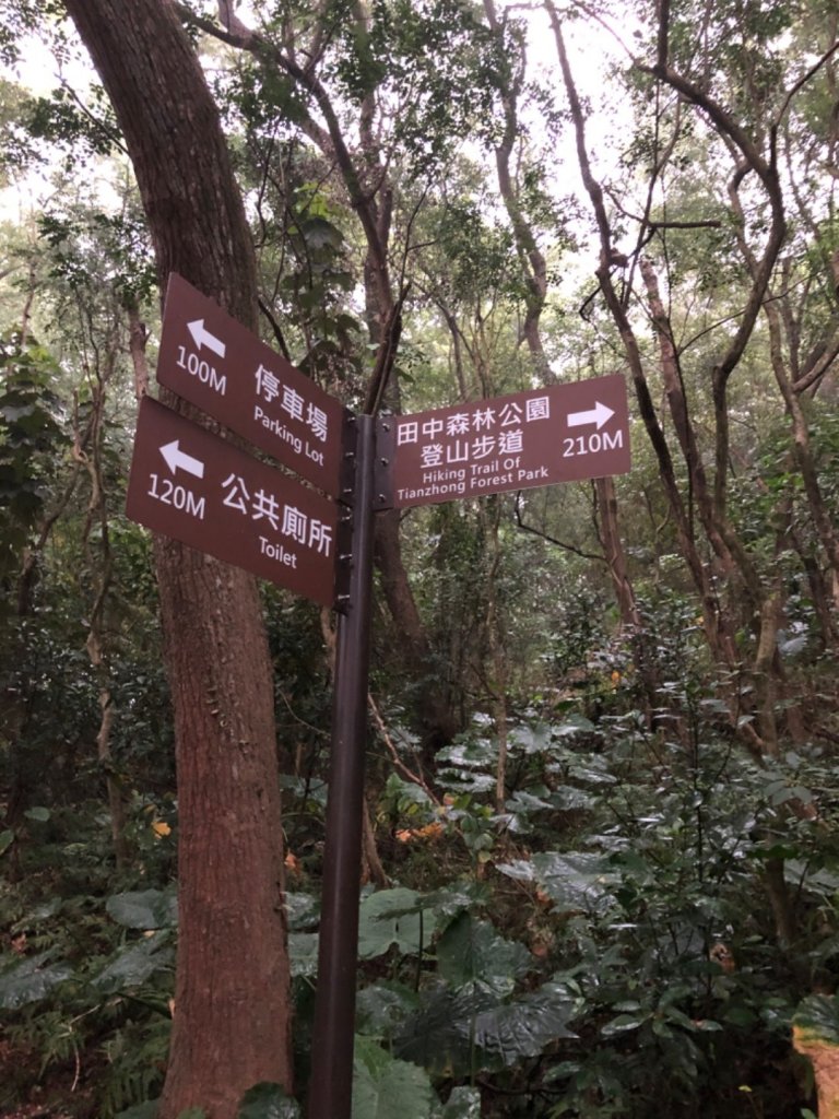 2020.04.11田中森林登山步道封面圖