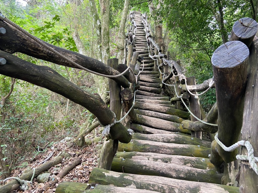 大坑2號原路來回_2130435