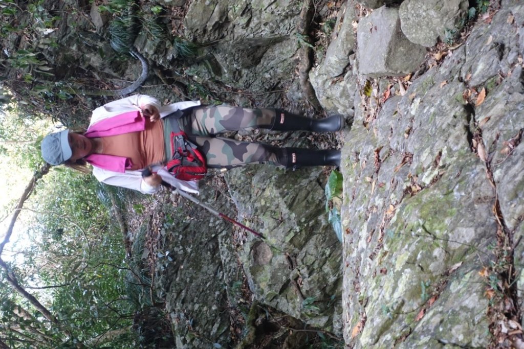 女仍山_2421404