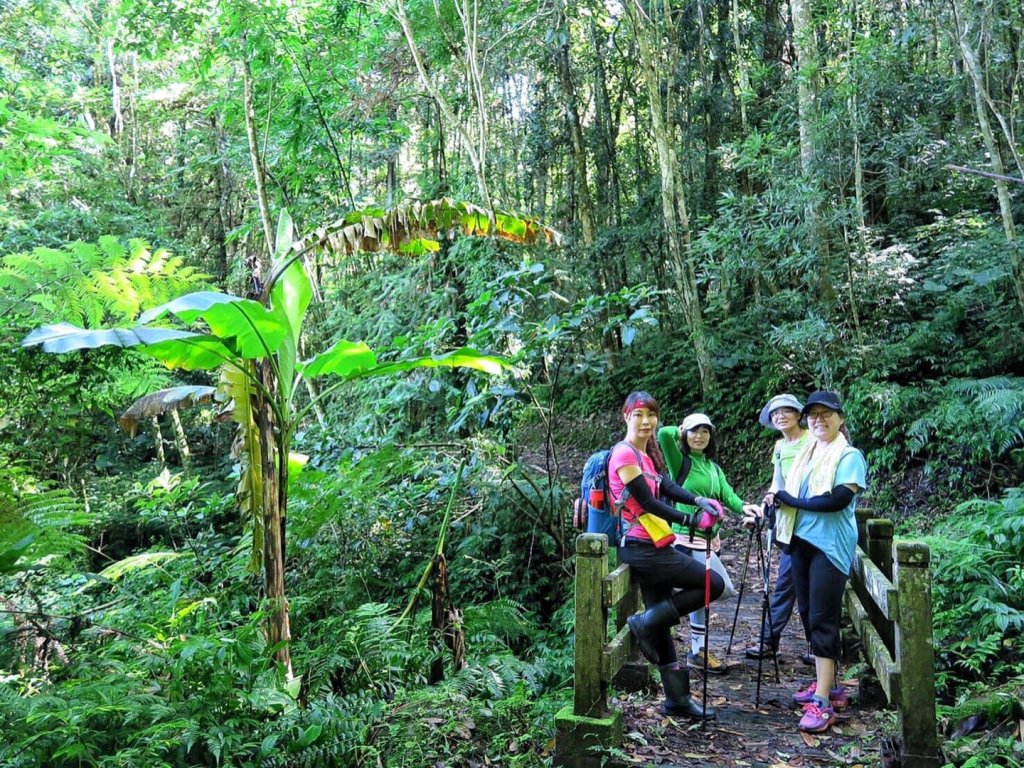 小百岳#37～馬那邦山 _976628