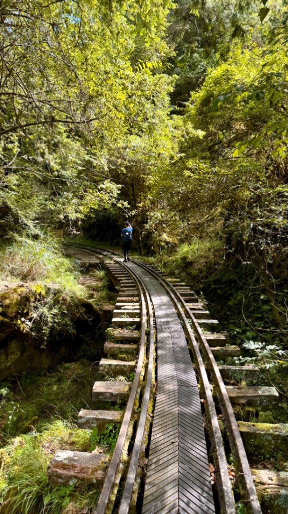 眠月線全段_2613428