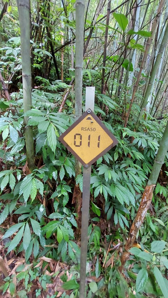 111/07/03樟之細路：出關古道聖關段、關刀山、龍騰斷橋_1756117