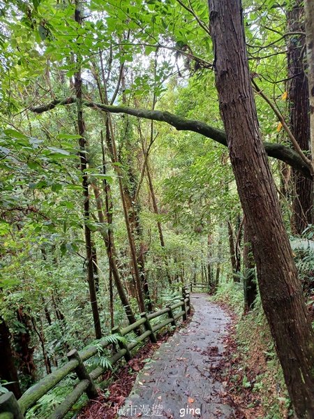 【新竹橫山】綠蔭夾道流水淙淙。2024森遊竹縣。 騎龍古道_2616201