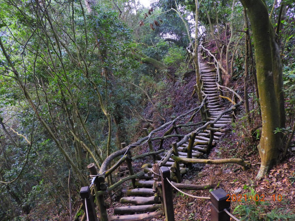 臺中 北屯 頭嵙山_1266542