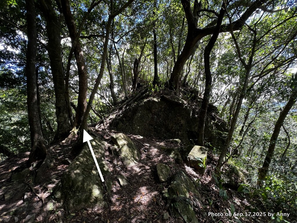 微笑山線【五分山系】菁桐煤礦段＋平溪小黃山段封面圖