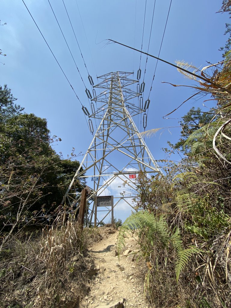 谷關七雄-東卯山原路線來回_2059270