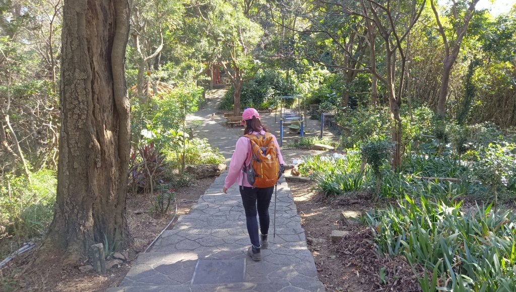 (姨婆趴趴走)第四十五集:新竹竹東三山（新具庄山、樹杞林山、員崠子山）環狀縱走_2662290