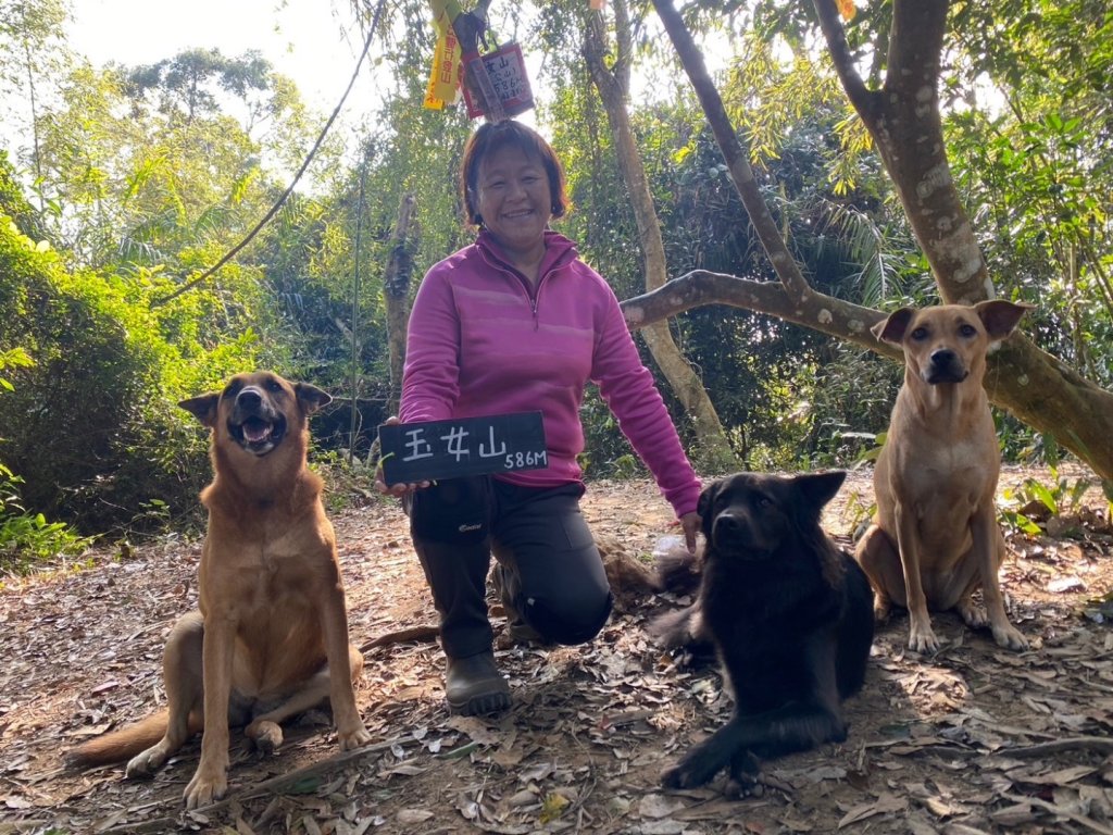 苗栗金童山、玉女山、汶水山_2672893