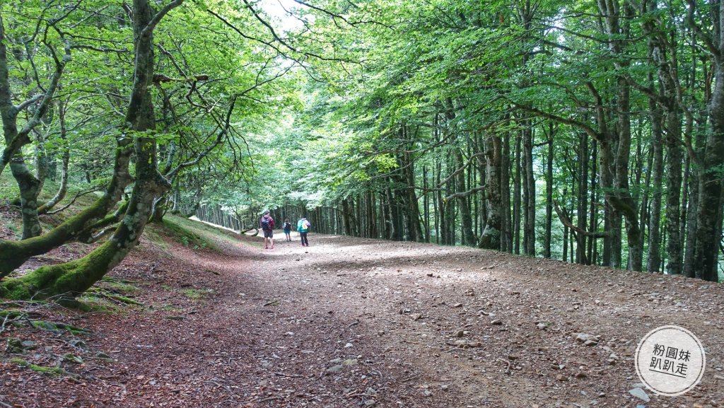 【勇氣2.0朝聖之旅】 D1庇里牛斯山賞雲海_652994