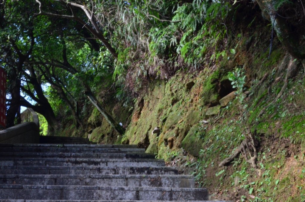 雞籠山登山步道_445587