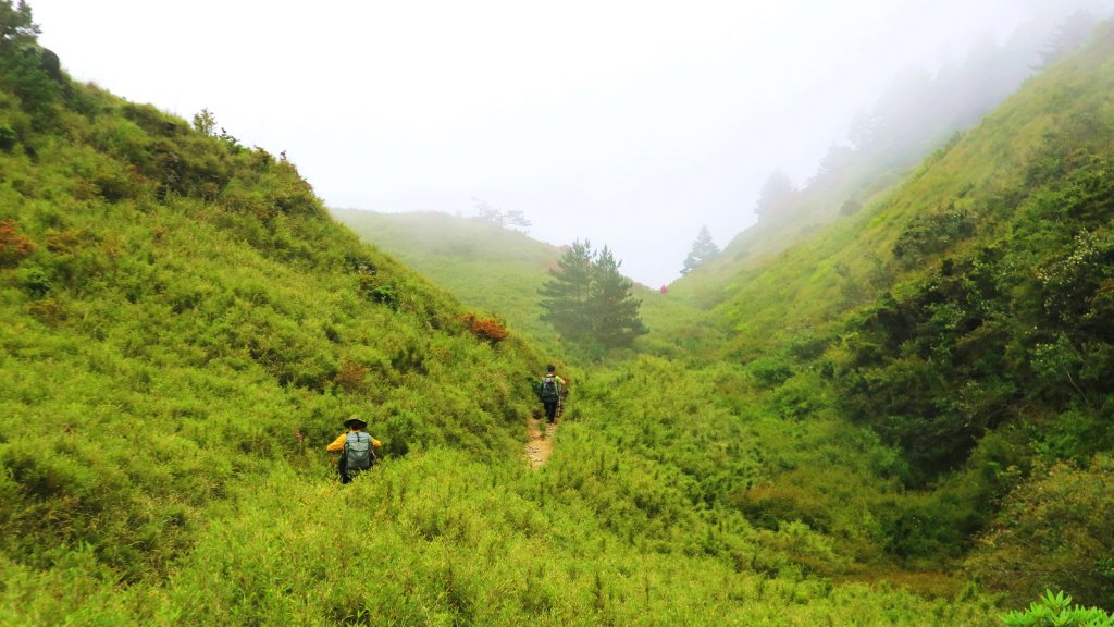 我們與奇萊主山的距離_617919