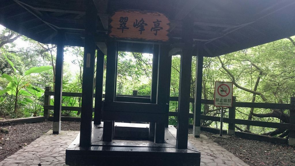天母水管路步道～台灣獼猴不期而遇_315854