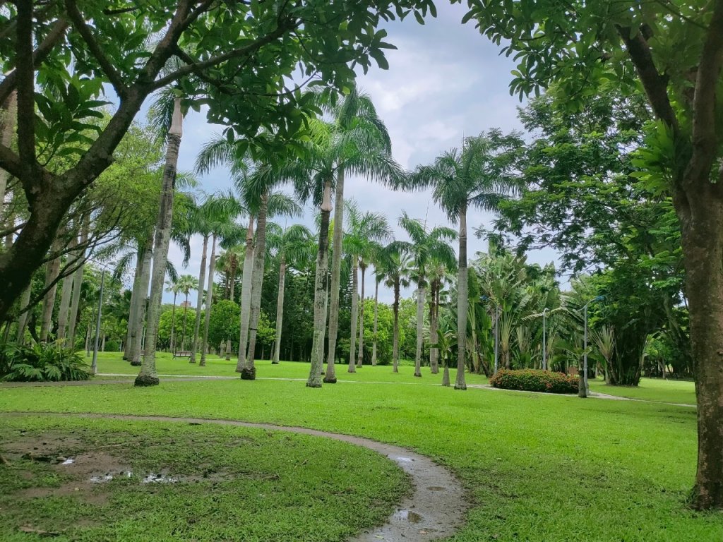［健康大穀東］（9~11）：大安，華山，唭哩岸捷運站_2238498