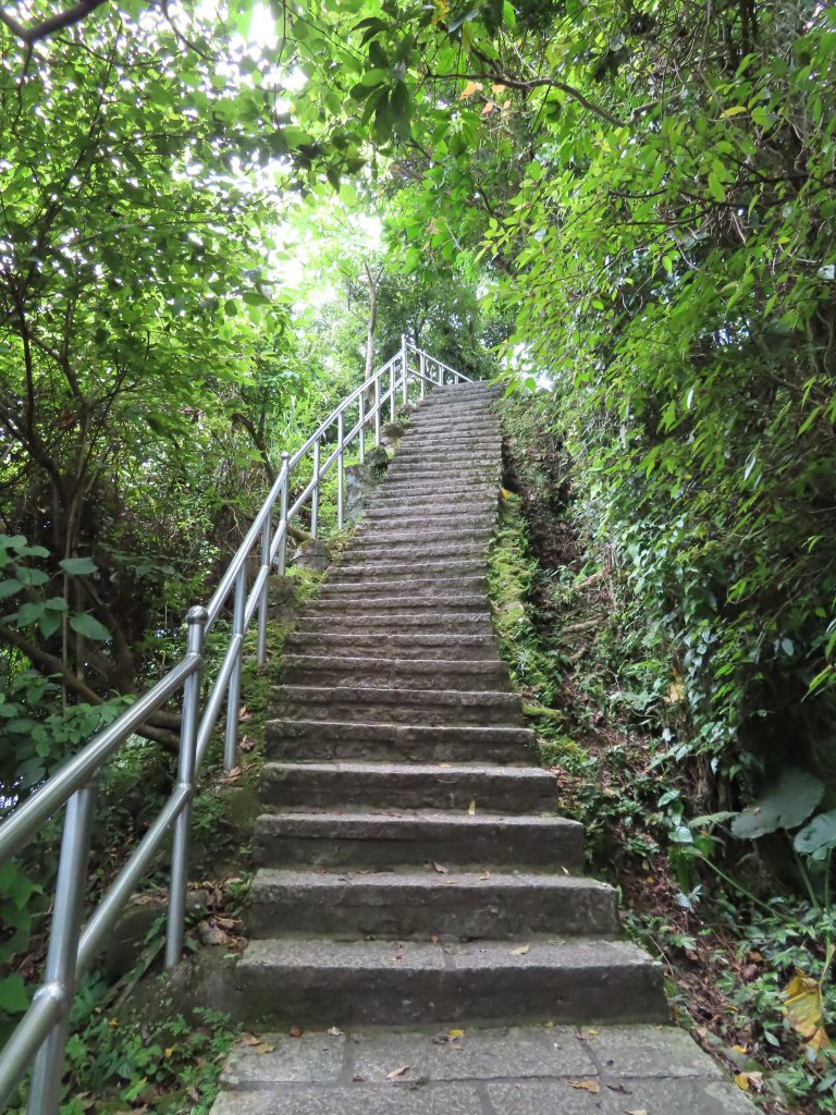 110.0504 大尖山步道_1385458