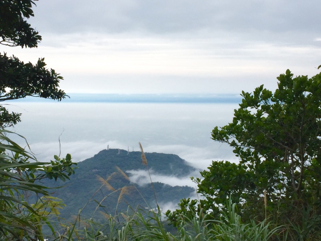 台南第一高山大凍山_240787
