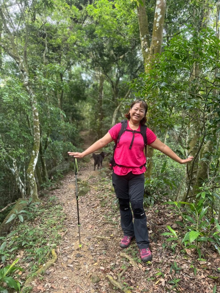 苗栗縣獅潭鄉鳴凰古道O型縱走_2803638