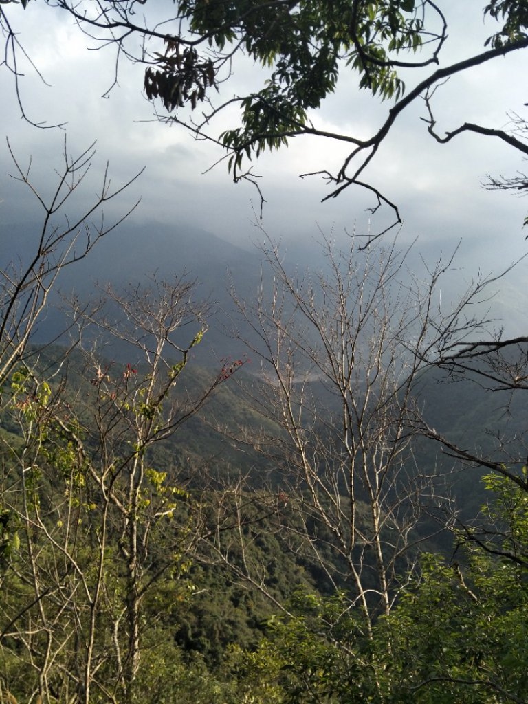 後尖山步道_1995199