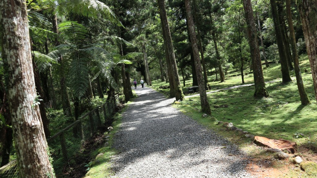 福山植物園登山健行趣(步道)_2269351