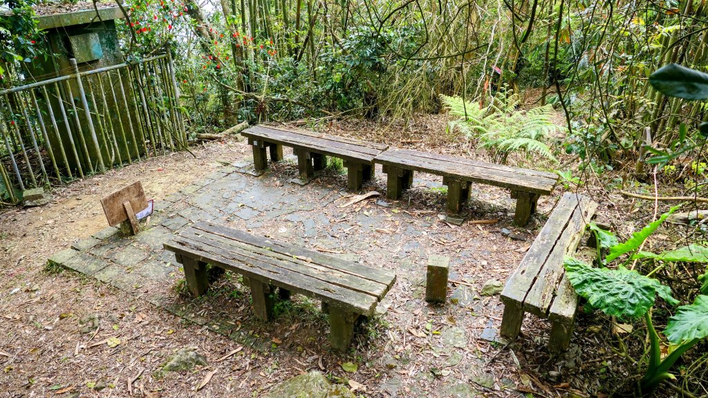 《臨江仙。木棉春色》_2735213