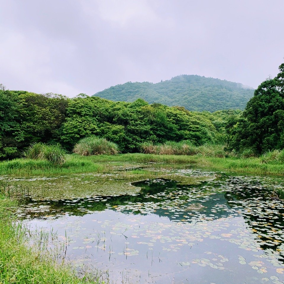 20230427陽明山健行_2131000