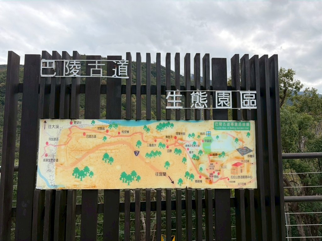 桃園 復興 巴陵古道封面圖