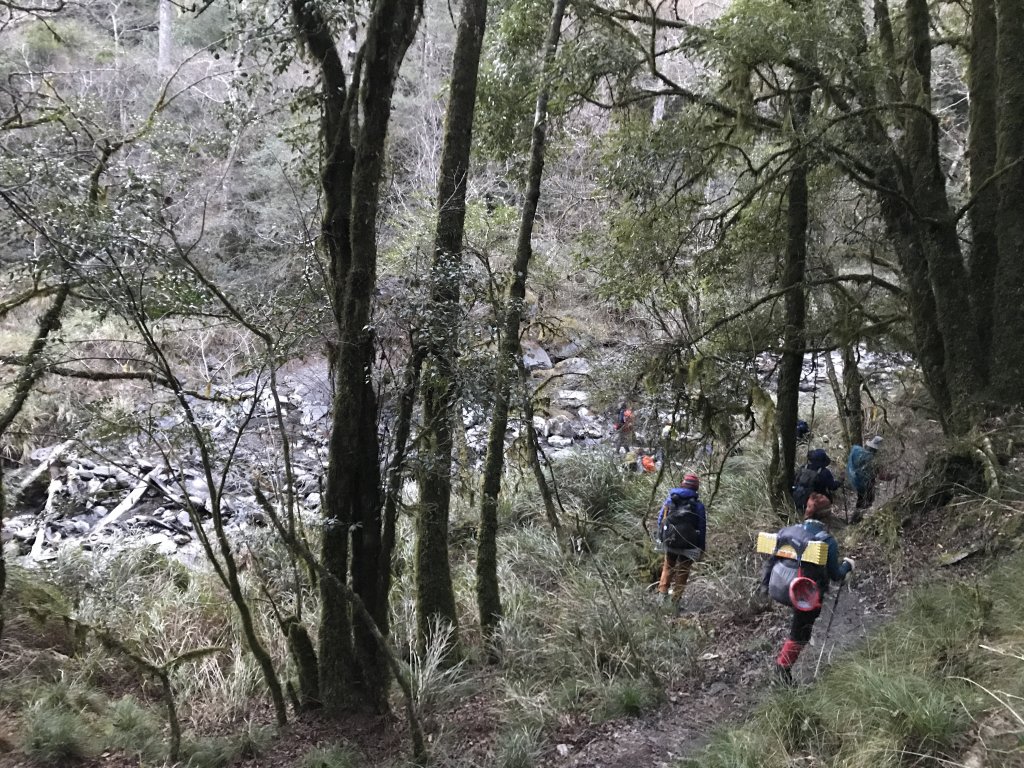 屏風山上奇萊北_892354